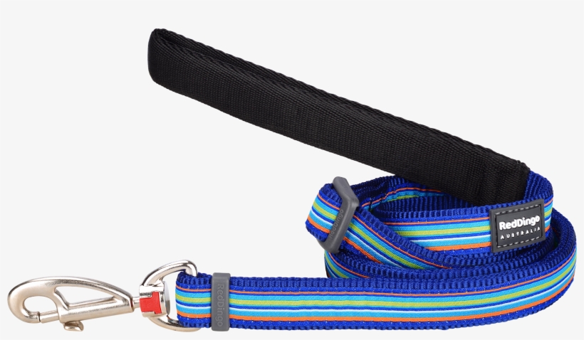 Products - Belt, transparent png #7954918