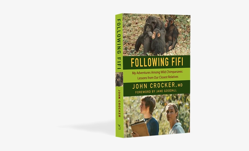 He Would Follow Families Of Wild Chimpanzees From Sunrise - Following Fifi: My Adventures Among Wild Chimpanzees:, transparent png #7955188