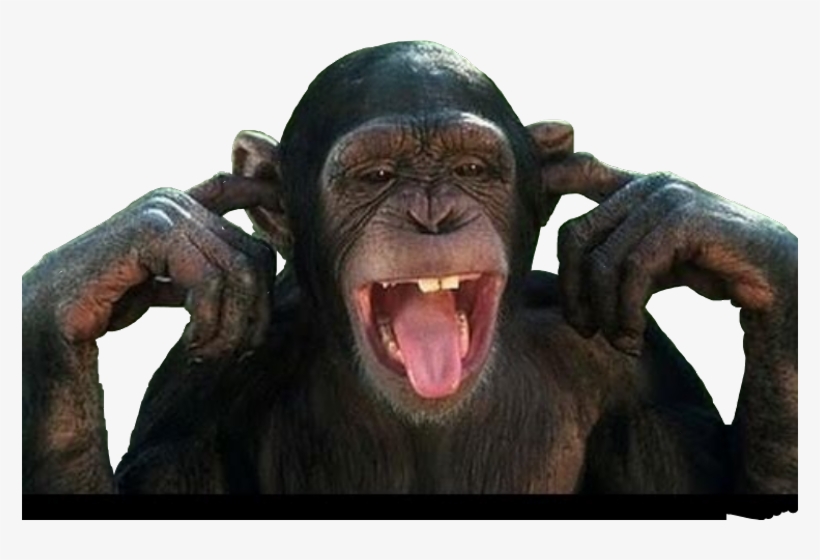 Sarah Hanson Young Memes, transparent png #7955311