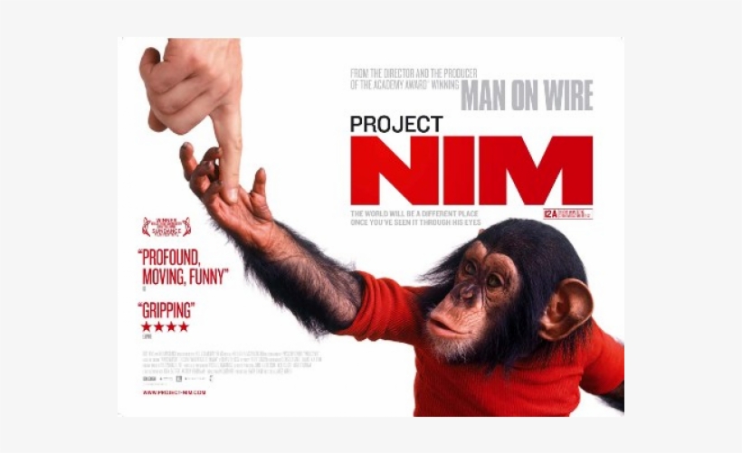 Bob Ingersoll Interview - Icon Films- Project Nim, transparent png #7955497