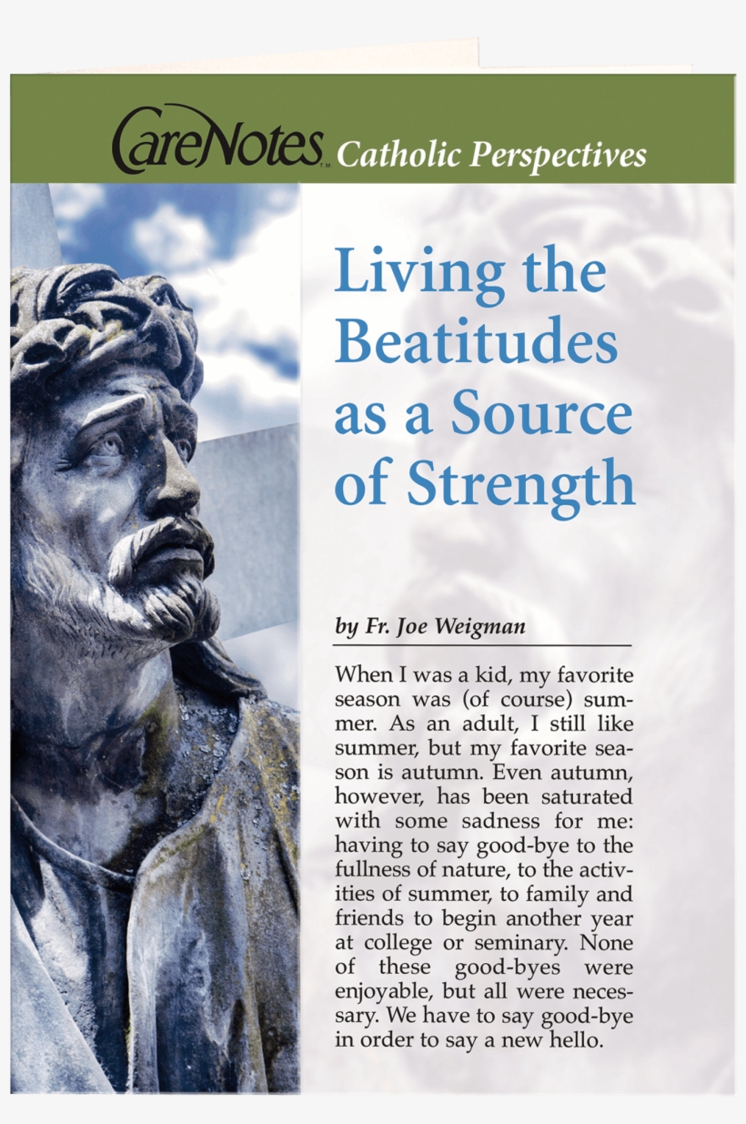 20966 Standing - Mountain Gorilla, transparent png #7955668