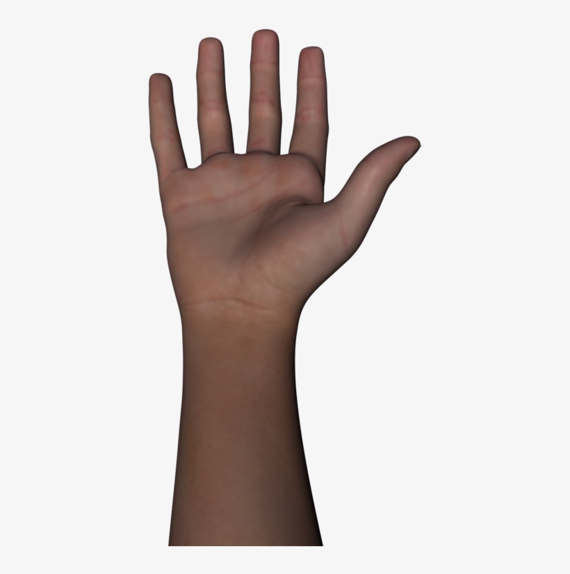 Arm - Brazo Del Cuerpo Humano, transparent png #7955912