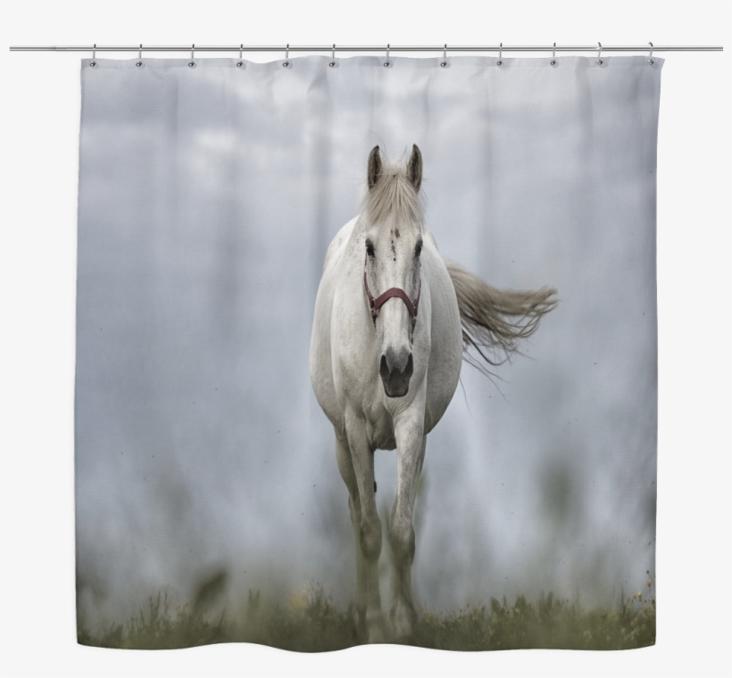 White Horse - Mane, transparent png #7956389