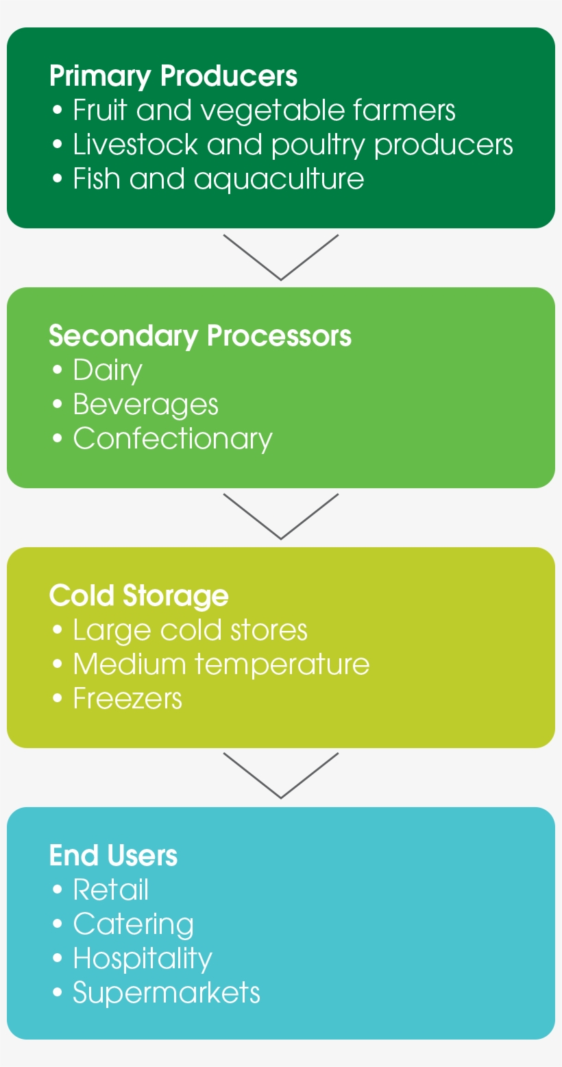The Cold Chain - Colorfulness, transparent png #7956575