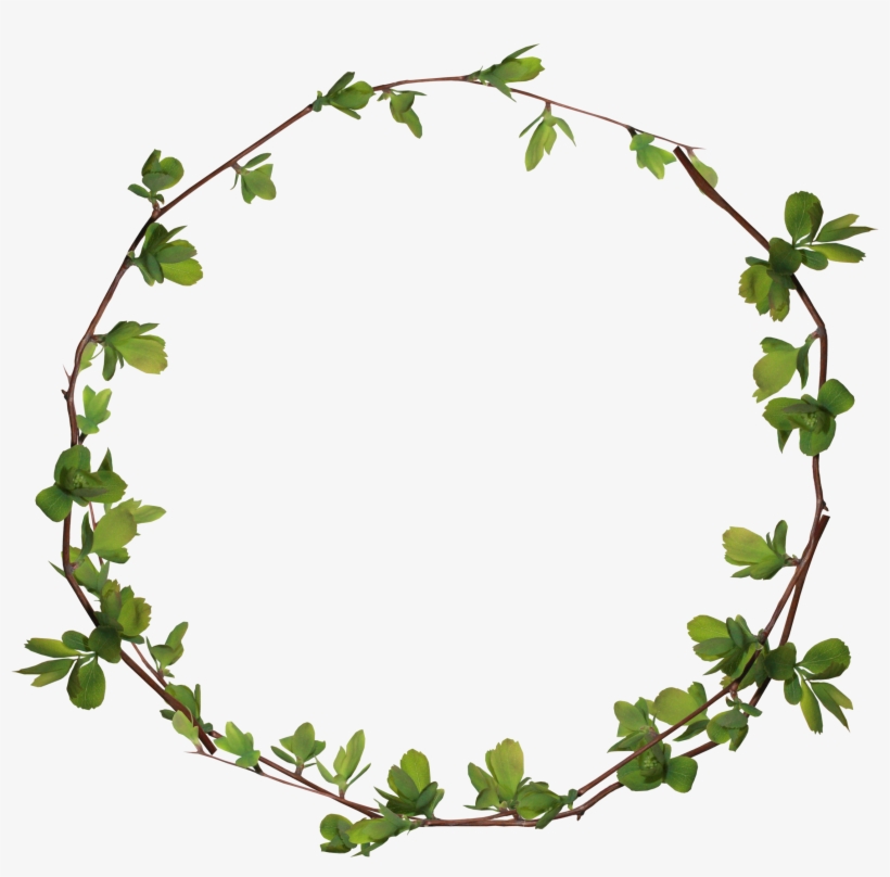 Clip Art Leaves Ring Transprent Png Free Ⓒ - Circle Fall Leaves Clipart, transparent png #7956687