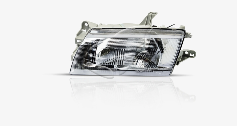 Grille, transparent png #7956828