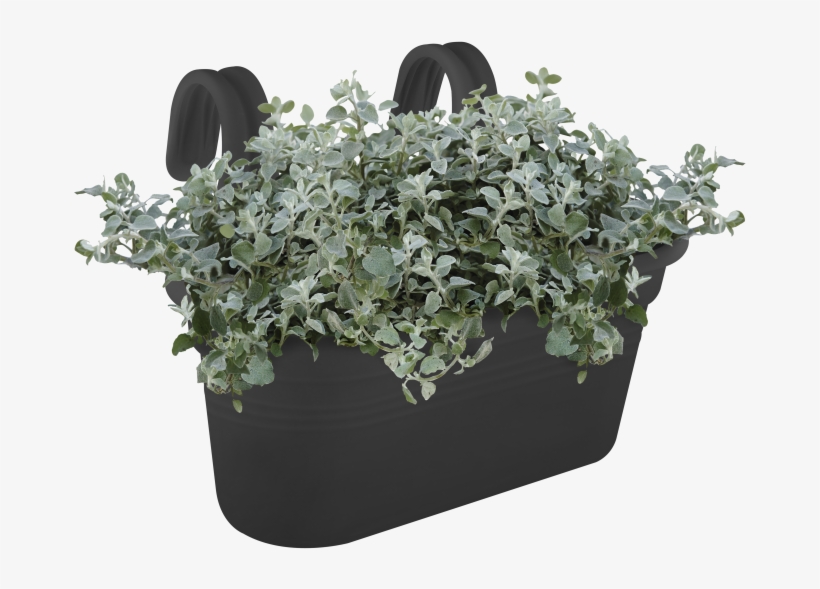 Home > Collection > Green Basics Easy Hanger - Flowerpot, transparent png #7957114