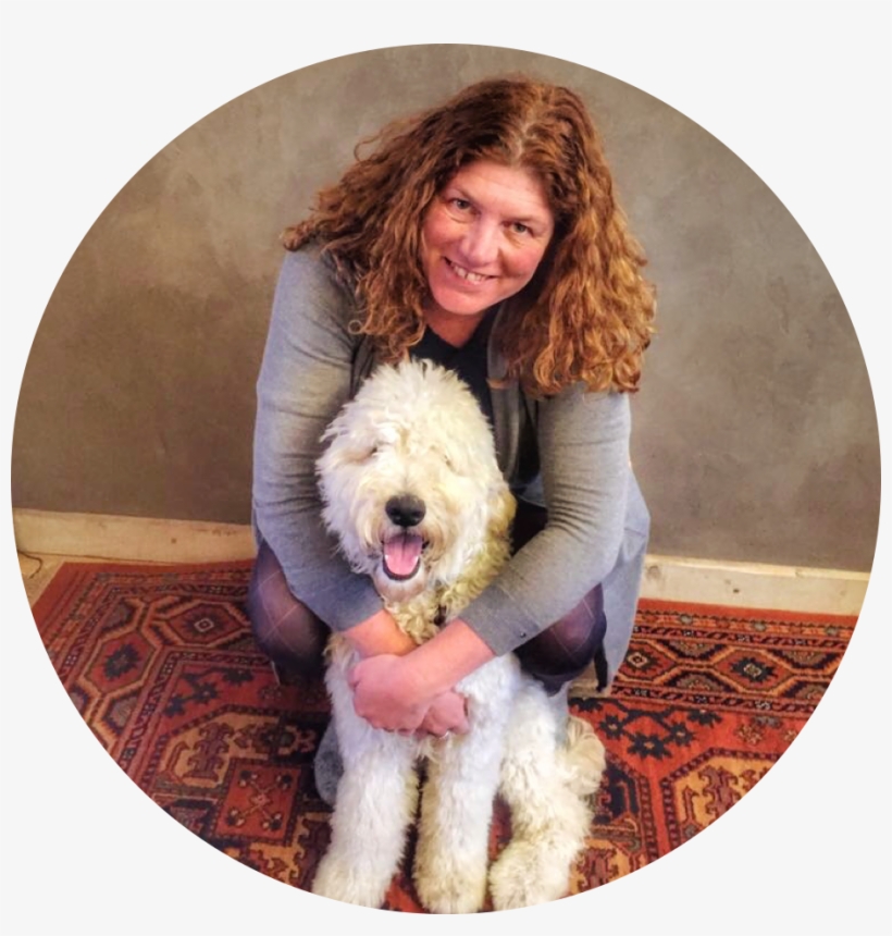 Labradoodle, transparent png #7957773