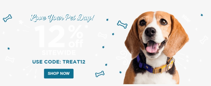 1 - Dog, transparent png #7959149