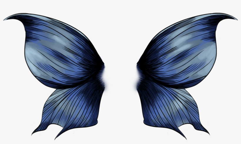 Butterfly Wings - Swallowtail Butterfly, transparent png #7959539