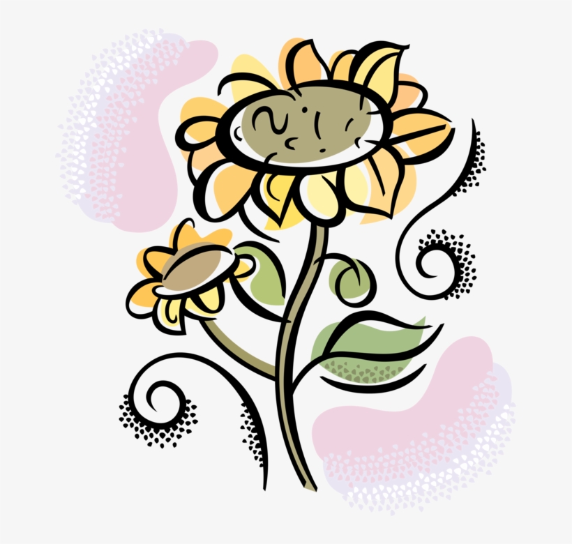 Vector Illustration Of Garden Sunflowers Growing In, transparent png #7959743