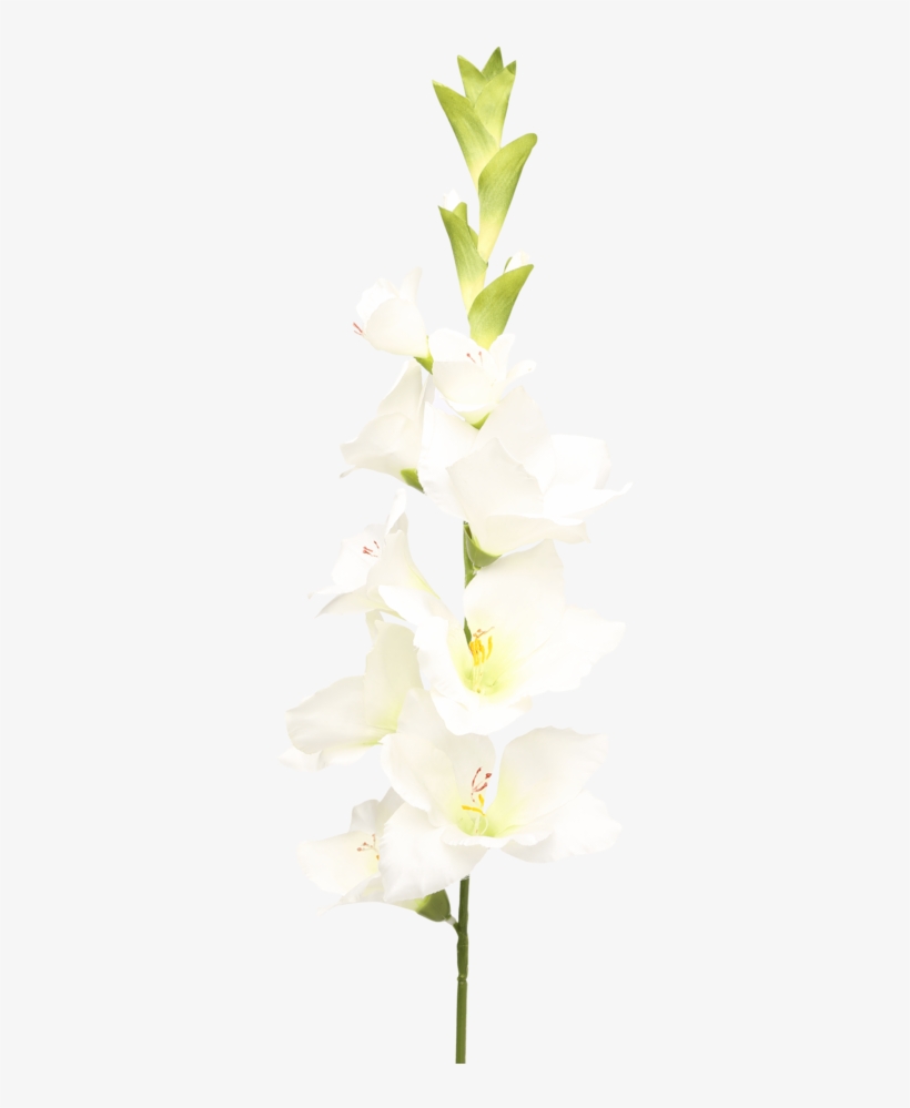 Gladiolus Spray White - Artificial Flower, transparent png #7959825