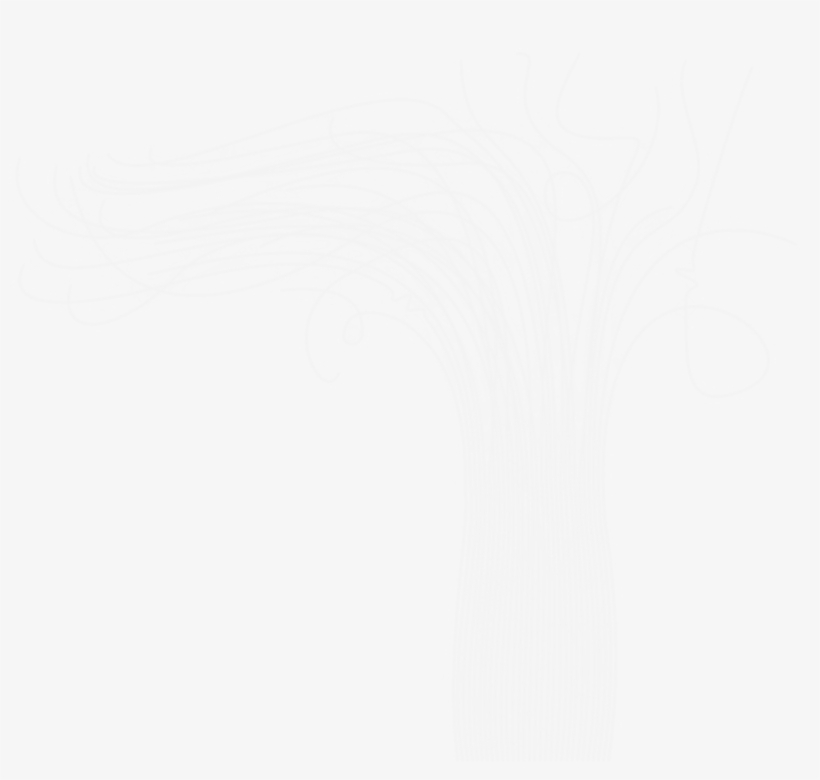 Tree Of Light - Darkness, transparent png #7959974