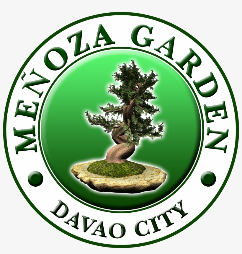 Business - Bonsai, transparent png #7961407
