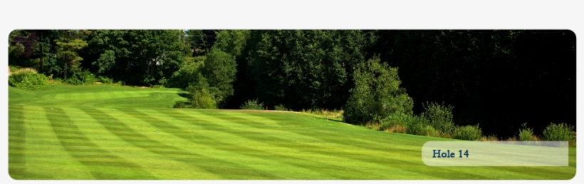 Lawn, transparent png #7961544