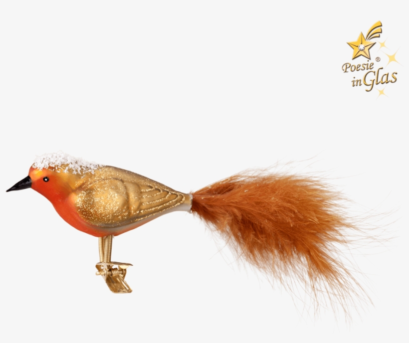 Robin On Clip - European Robin, transparent png #7961707