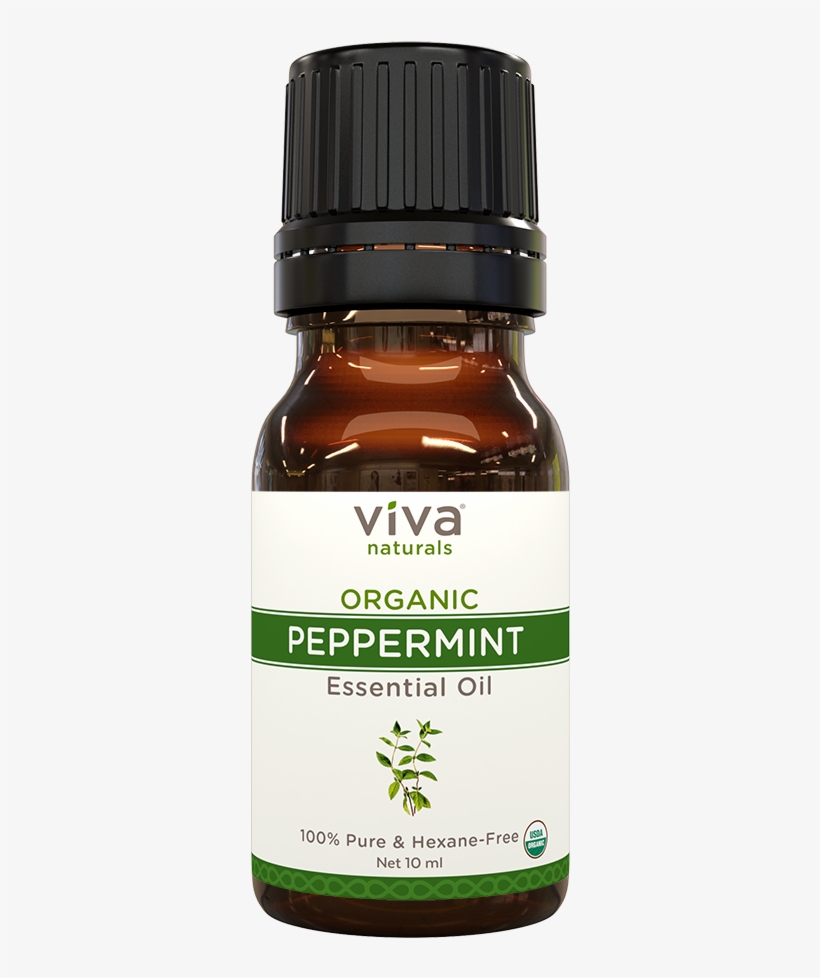 1024 X 1024 0 - Fruit, transparent png #7961740