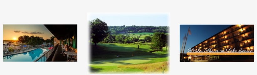 Learn More About Harbor Shores - Tree, transparent png #7961814