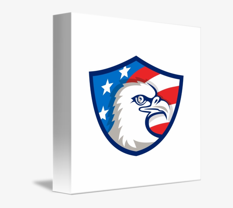 Bald Eagle, transparent png #7962645