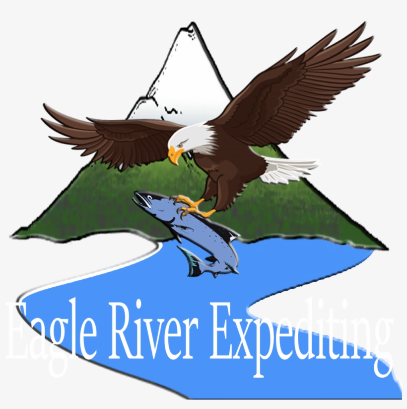 Bald Eagle, transparent png #7962779