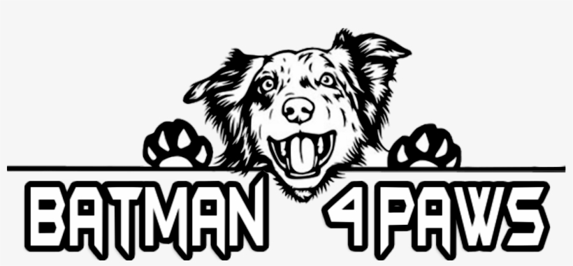 Home - Australian Shepherd Dog Clipart, transparent png #7962811