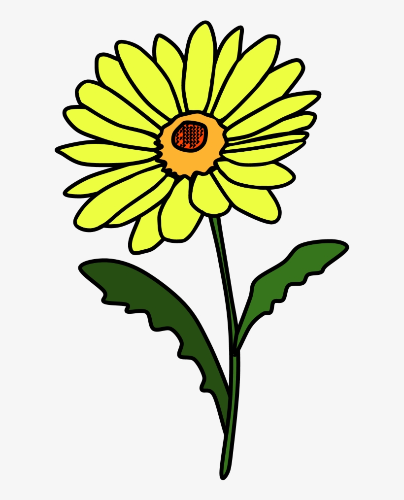 Daisy, Petals, Yellow, Png - Sunflower, transparent png #7962860