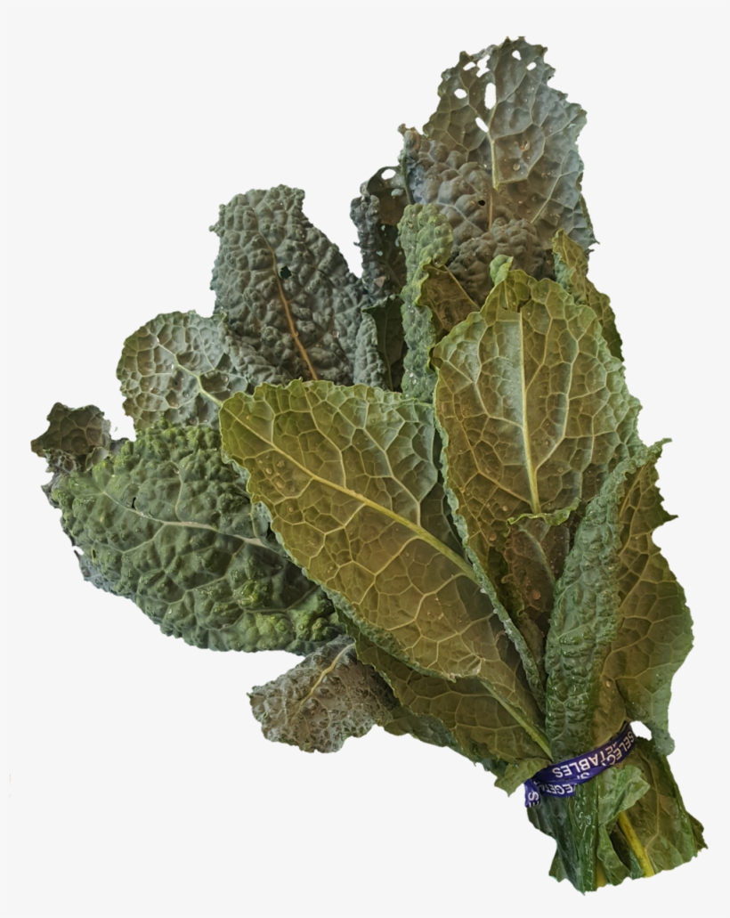1531938198432 - Lacinato Kale, transparent png #7962914