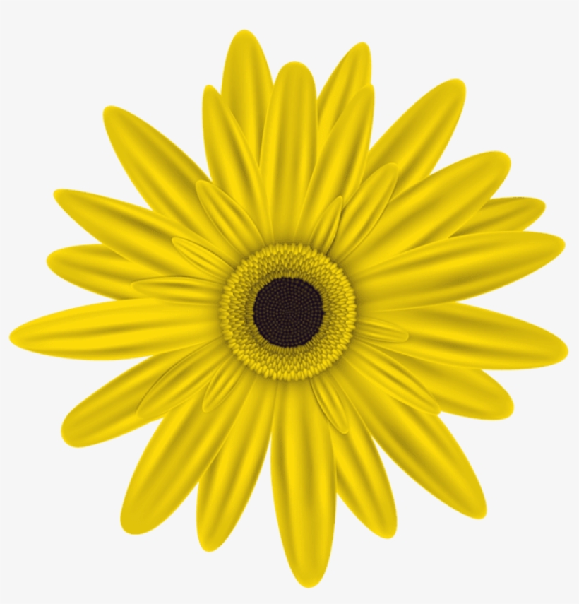 Free Png Yellow Flower Png Images Transparent - Pink Flowers Clip Art Free Download, transparent png #7962956