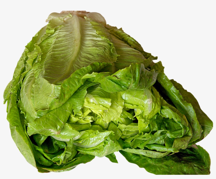 Lettuce Png Image - Lettuce, transparent png #7963140
