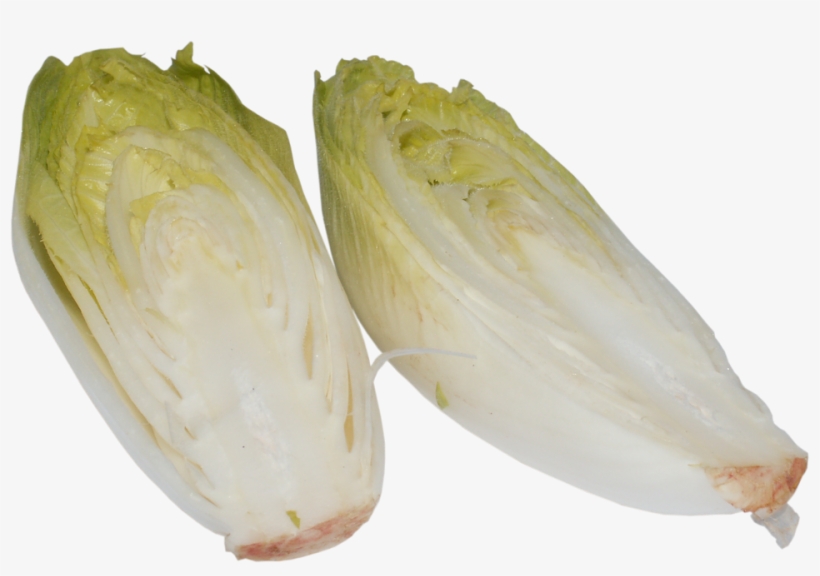 Laminated Poster Chicory Cabbage A Vegetable Vegetables - Chicory Veg, transparent png #7963248