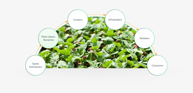 Assuring Top Quality Throughout All Product Cycles - Diagram, transparent png #7963294