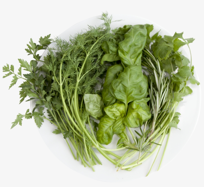 Hydroponic Herblicious Chef, transparent png #7963398