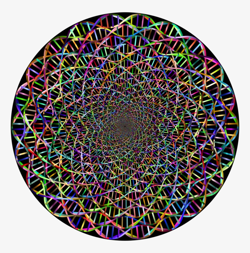 Nucleic Acid Double Helix Computer Icons Line Art Dna - Nucleic Acid Double Helix, transparent png #7964002