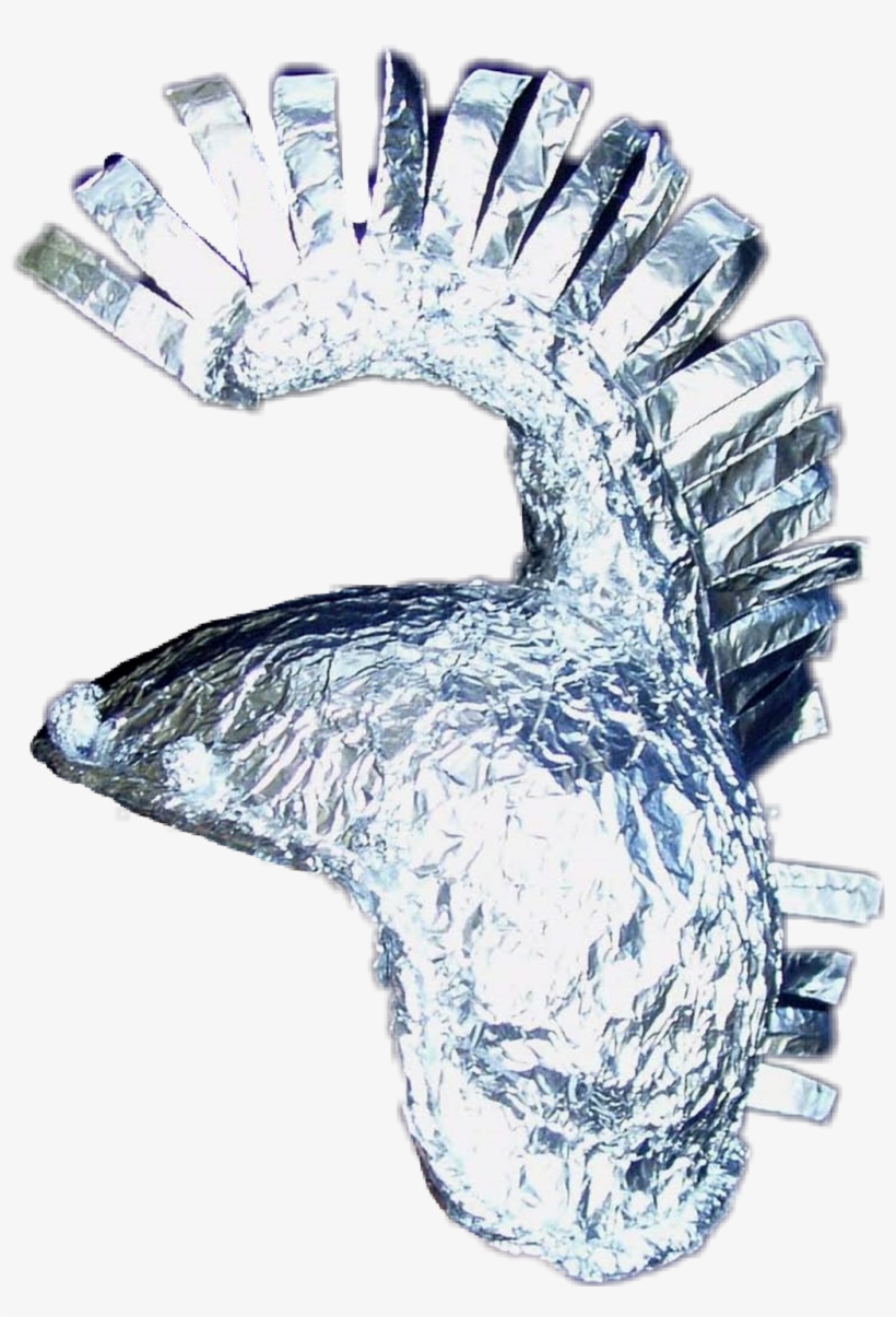 Tinfoilhat Sticker - Tin Foil Hat, transparent png #7964045