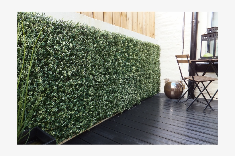 Hedge, transparent png #7966745