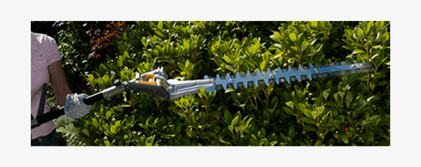 Thetrimmer-700x700 - Grass, transparent png #7966876