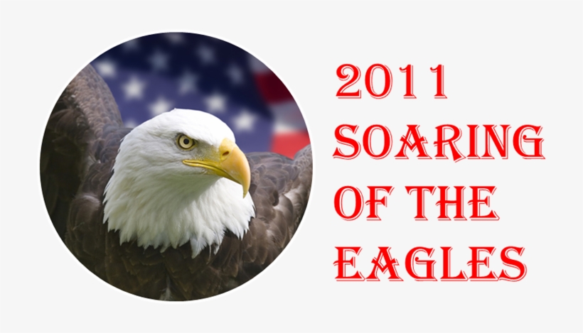 2011 Soaring Of The Eagles Management Conference - Bald Eagle, transparent png #7966879