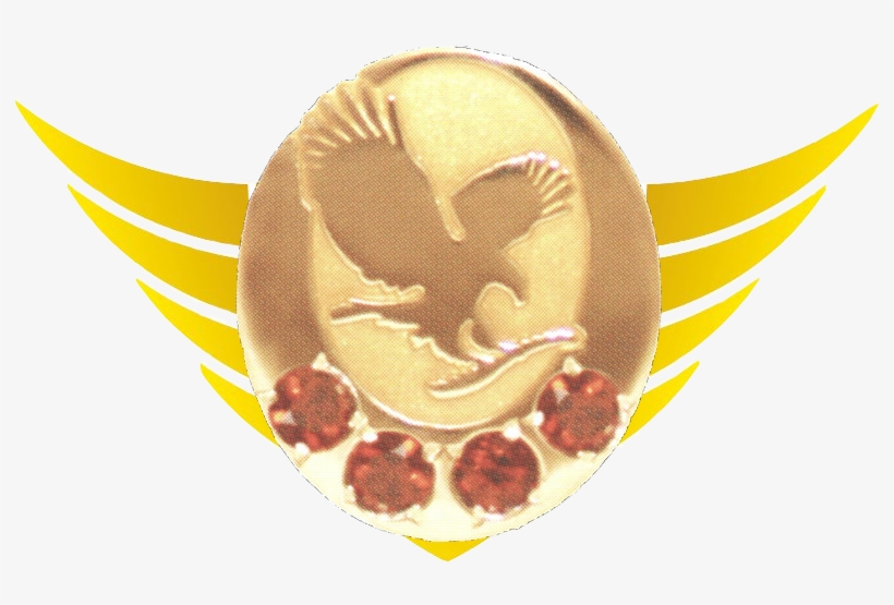 Soaring Eagle Png - Senior Manager Forever Living, transparent png #7966995