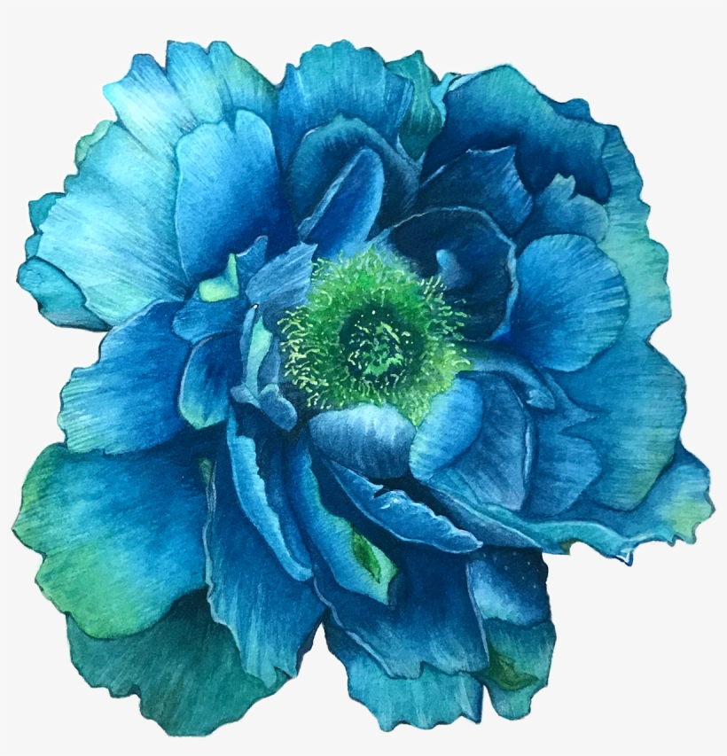 Save To Collection - Star Thistle, transparent png #7967039