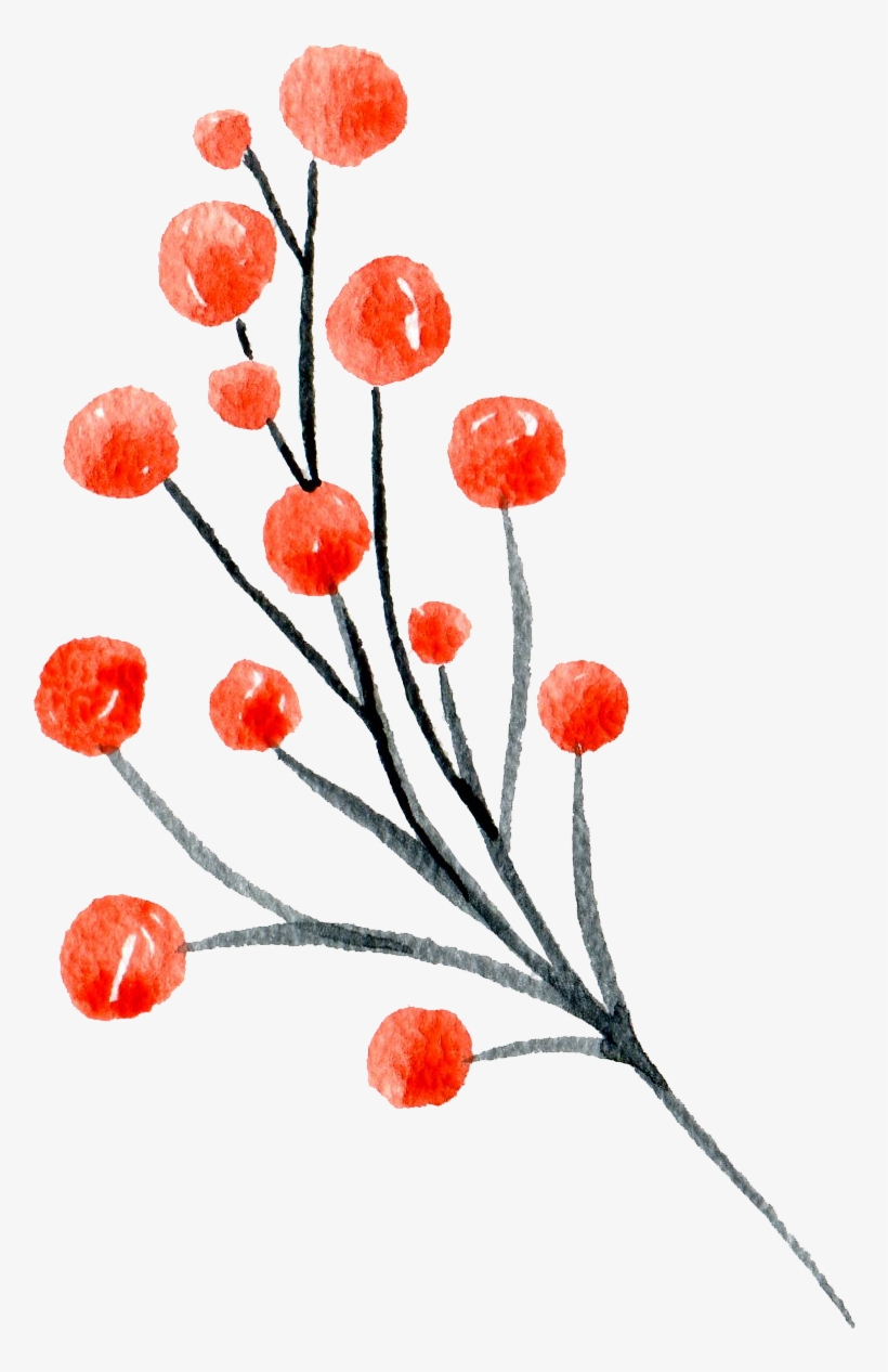 Red Berries - Illustration, transparent png #7967206
