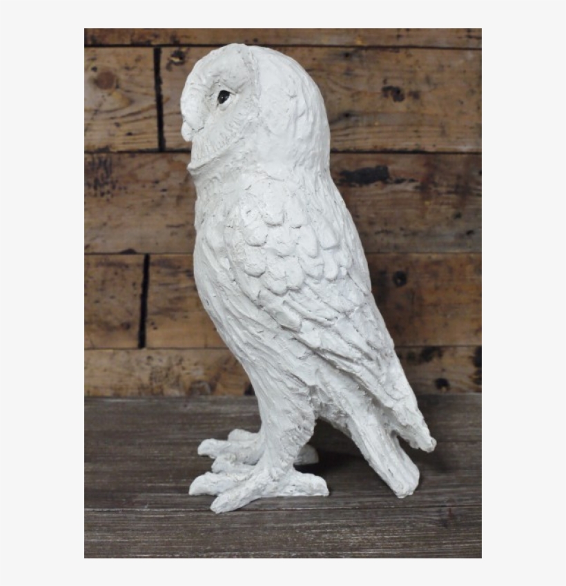 White Owl - Cockatoo, transparent png #7967755