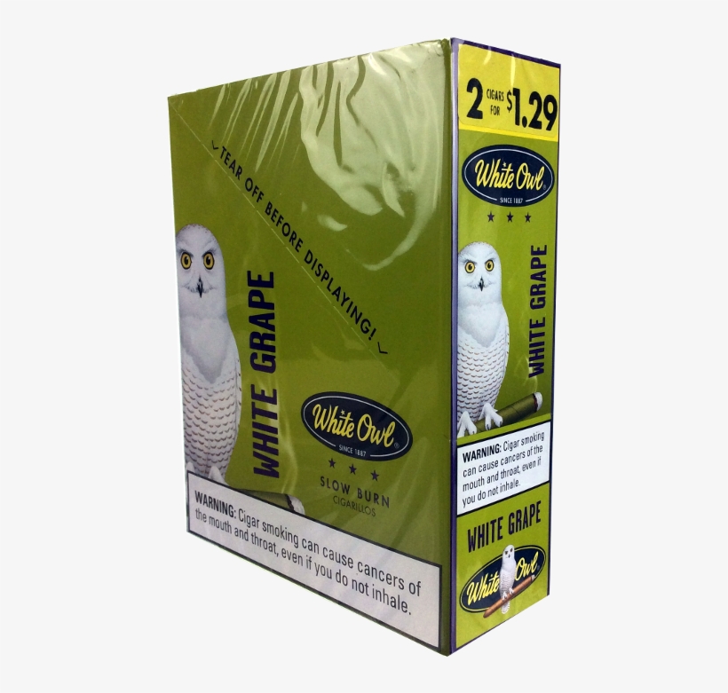 Quick View - African Grey, transparent png #7968022