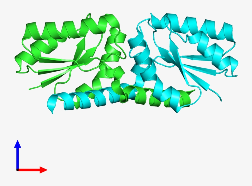 Pdb 3lyh Coloured By Chain And Viewed From The Front - Graphic Design, transparent png #7968385