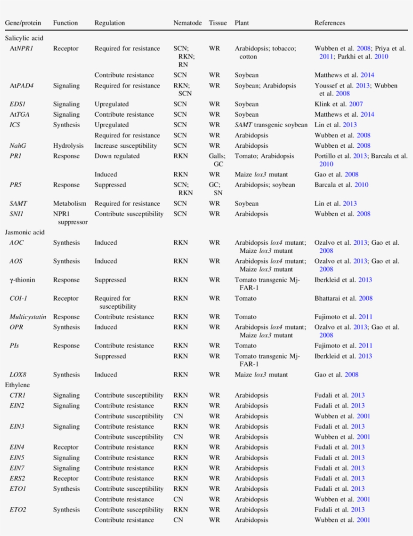 Hormone Biosynthesis And Signaling Genes In Plant Responses - Document, transparent png #7968577