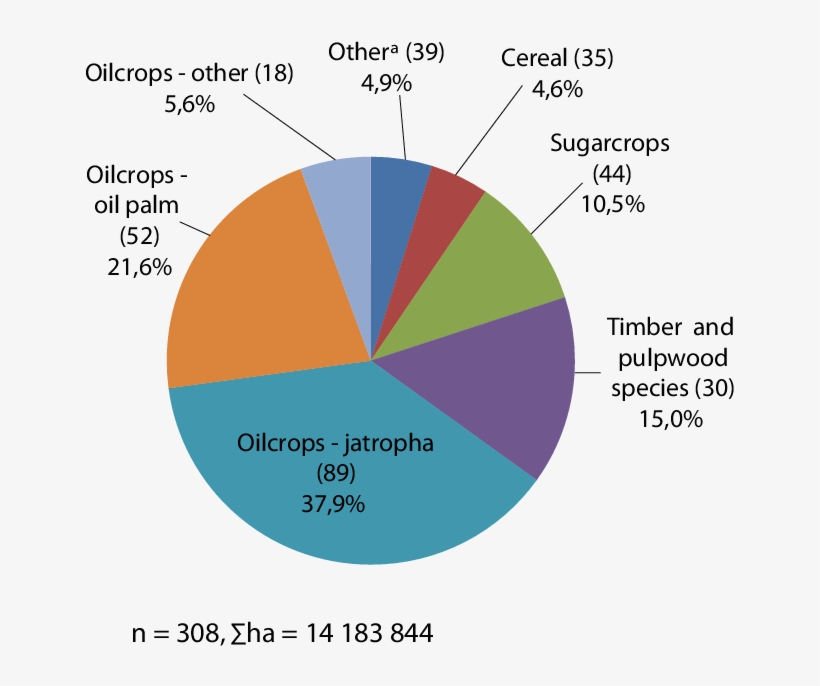 Primary Crop Cultivated, Proportion Of Total Land Area - Gymnasium Anteil Deutschland, transparent png #7968857