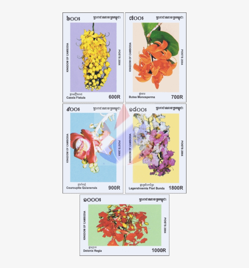 Lilac, transparent png #7971622