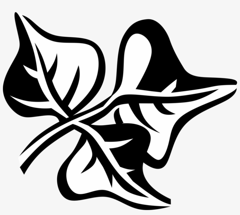 Vector Illustration Of Coral Bean Botanical Horticulture, transparent png #7971755