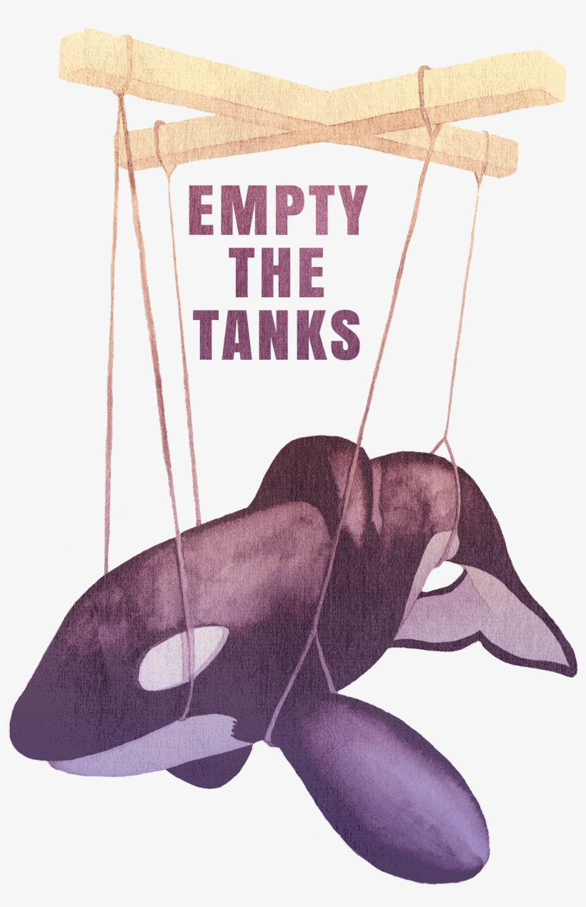 Sign Up To Join The Conversation - Killer Whale, transparent png #7972540