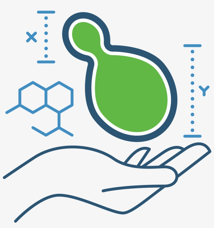 Xylogenics Is A Premier Innovator In The Bio-chemical - Yeast Draw, transparent png #7974055