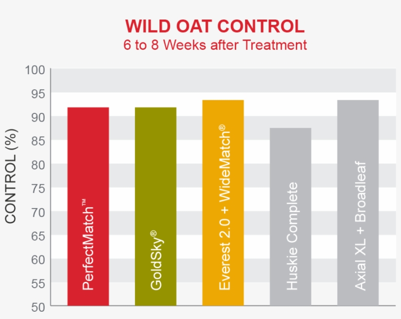 Canada Thistle Control - Carmine, transparent png #7974704